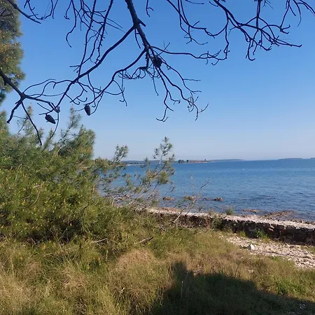 Koli Ρόβινι
